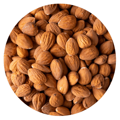 ALMENDRA GUARA CHICA N2