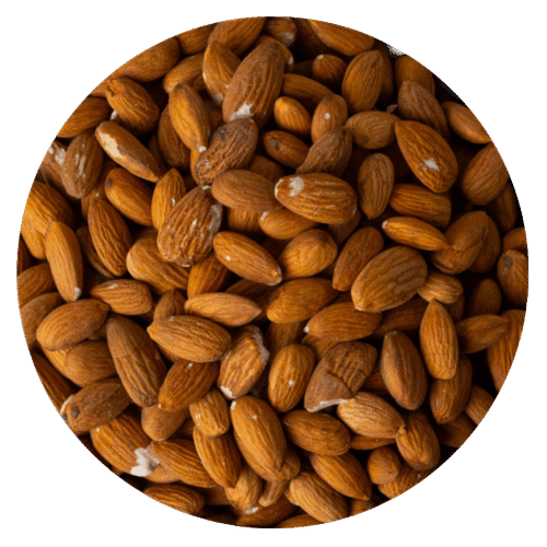 ALMENDRA NON PAREIL TIPO