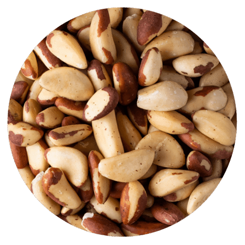 CASTAÑA PARA - NUEZ BRASIL