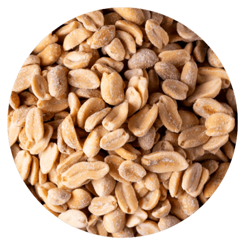 MANI TOSTADO CON SAL AA