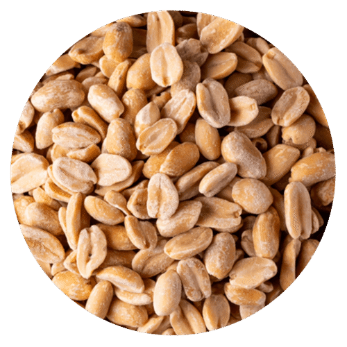 MANI TOSTADO SIN SAL AA